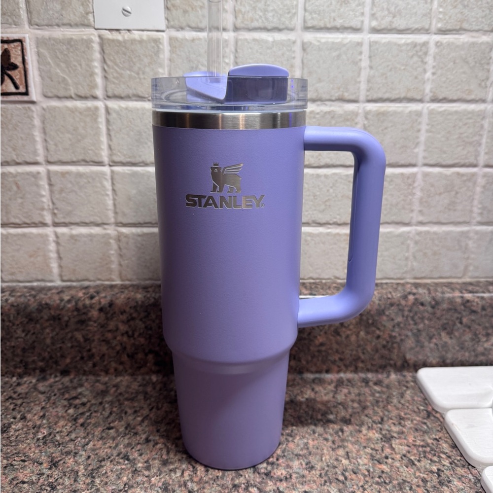 Purple stanley tumbler 30 oz